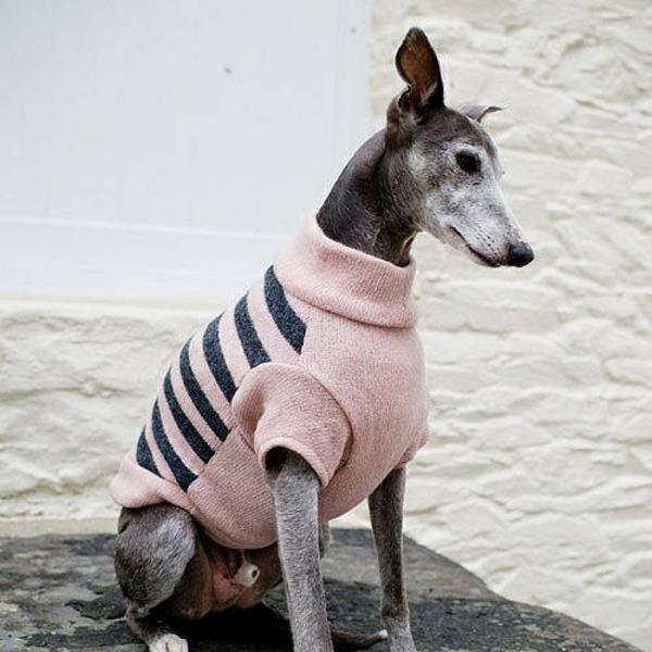 Projekty diy zrób sobie swetry dla psa z rękawami!