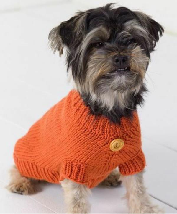 projekty diy sweter dla psa z dzianiny pomarańczowy