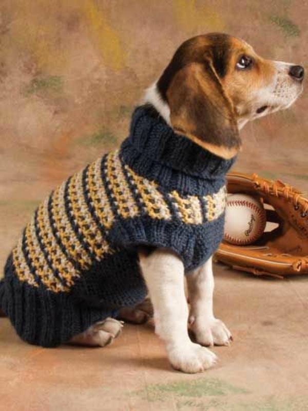Projekty diy dzianinowe swetry dla psów same w sobie słodkie zwierzaki!