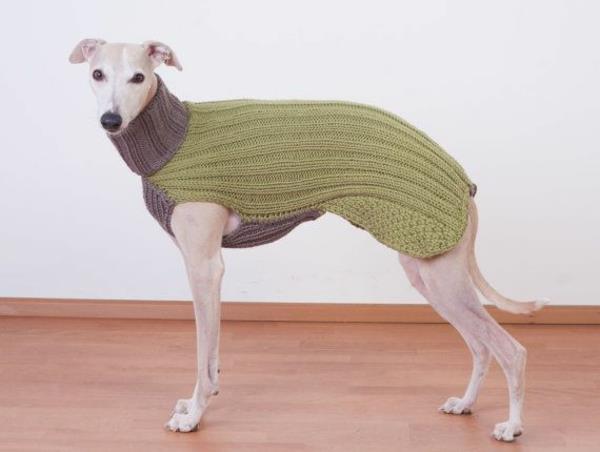 DIY projekty dzianinowe swetry dla psów w dwóch kolorach!