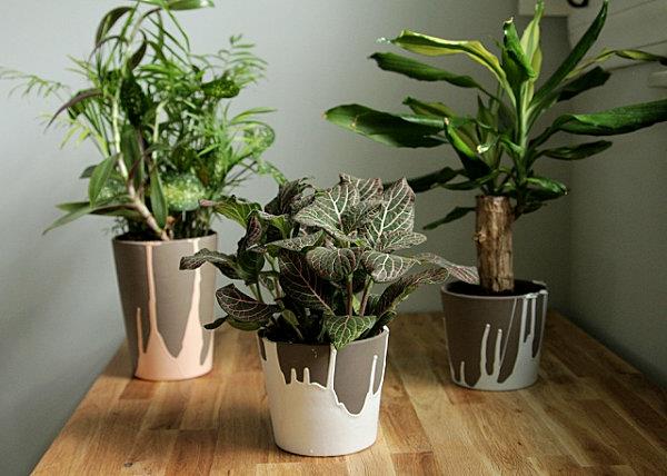 projets de bricolage pots de plantes en céramique