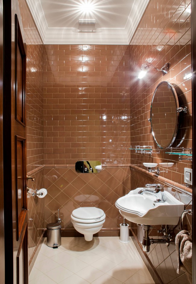 Idee mit glänzenden Terrakottafliesen. Eine kleine Toilette ist kein Satz, wenn das Design von Fliesen und Sanitärausstattung harmonisch kombiniert wird