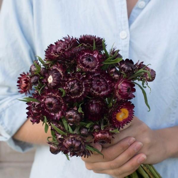bouquet de fleurs de paille de fleurs violet foncé