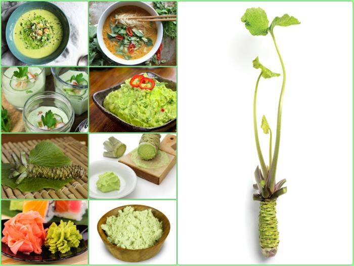 vraie plante de wasabi plats asiatiques cuisiner avec du wasabi
