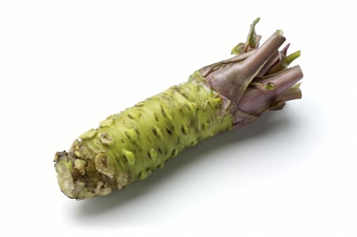 vraie racine de plante de wasabi comestible