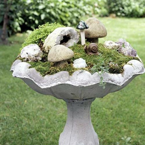 champignons et escargots créent un mini jardin