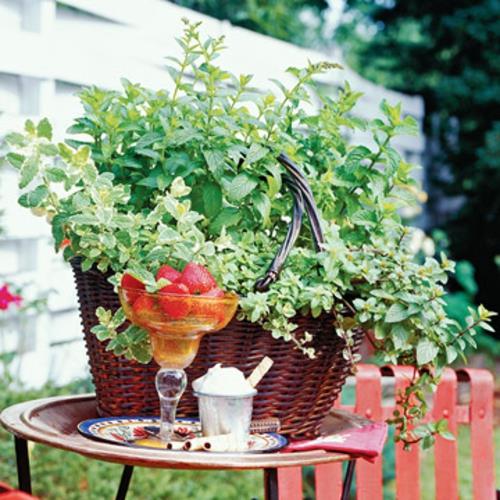 pour créer un mini panier de jardin en osier de fraises