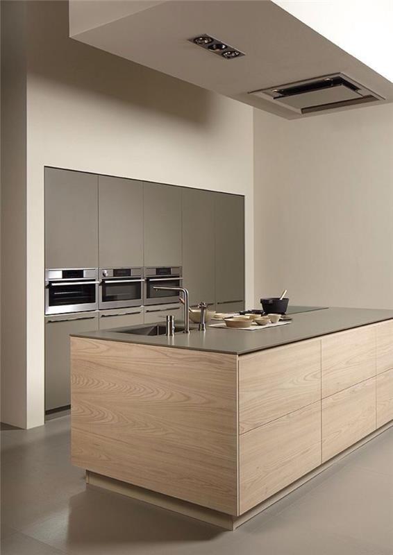 pomysły na umeblowanie porady dotyczące wyposażenia kuchni wyspa kuchenna bateria zlewozmywakowa panele drewniane minimalistyczny styl umeblowania