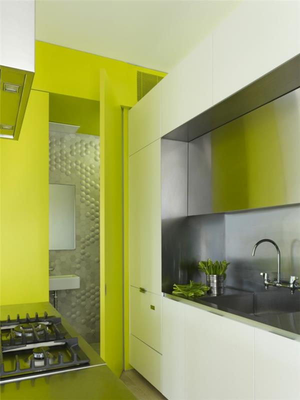 appartement d'une pièce boîte d'installation cuisine murs vert néon mur arrière de la cuisine en métal