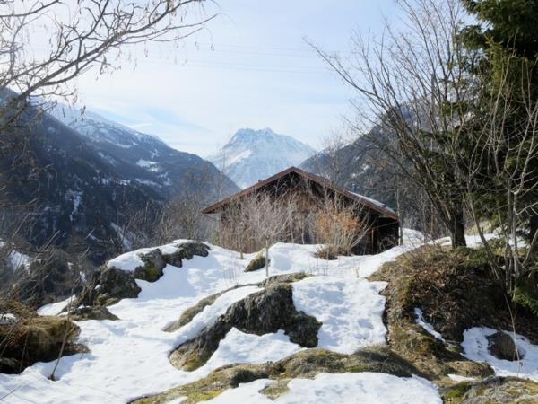 élégant refuge de montagne original forêt montagnes et neige