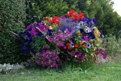 conception de jardin réussie rouge type de plante fleurs colorées