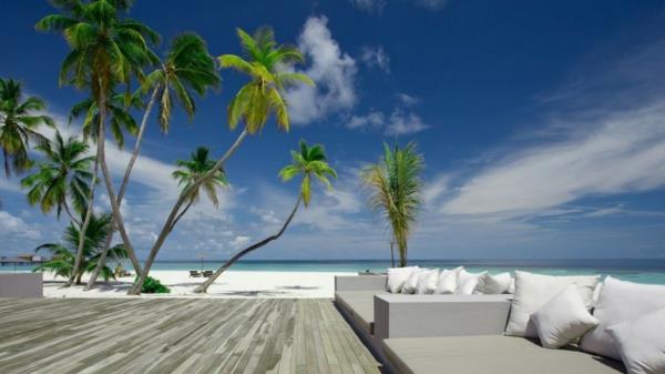 relaks miejsce do siedzenia na plaży?