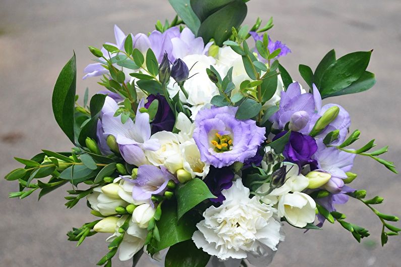 Eustoma (lisianthus) - Foto