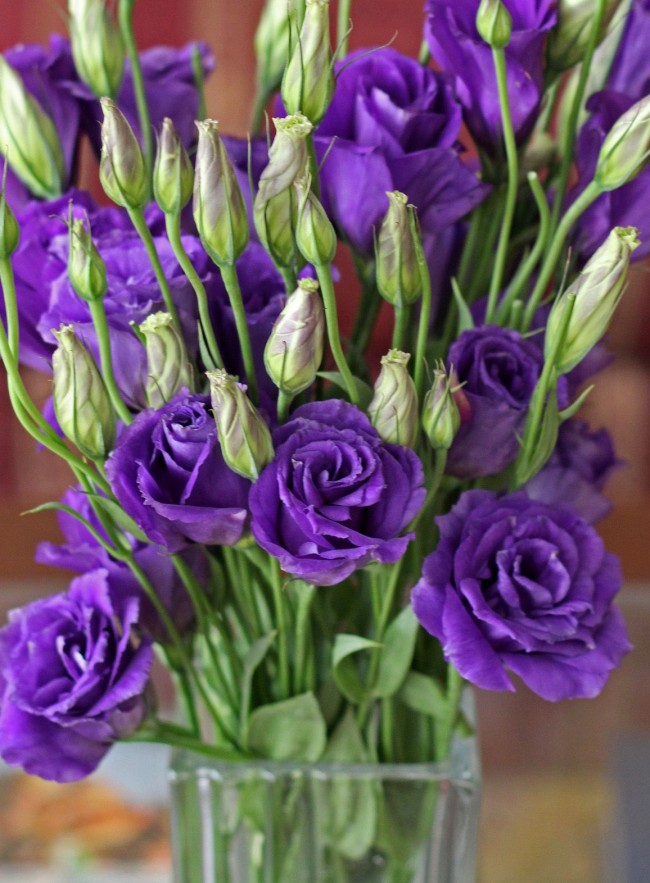 Eustomy velmi často používají květinářství ke skládání kytic, včetně svatebních.
