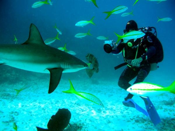 pomysł na ekstremalną przygodę z podróżami ocean