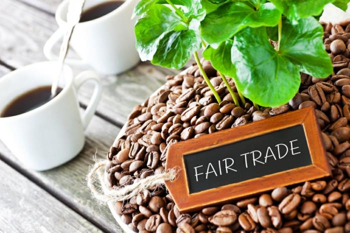 café équitable grains bio commerce alternatif remontants