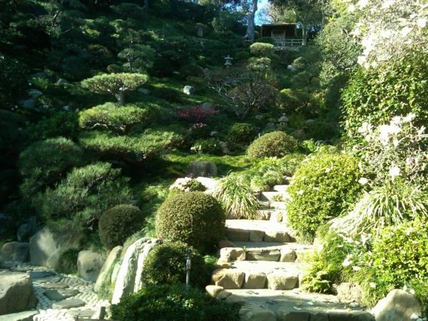 escaliers de conifères de jardin feng shui