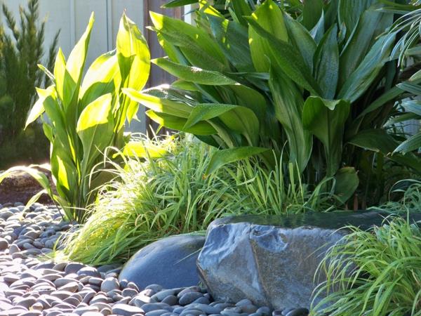 feng shui jardin plantes pierres inspiration