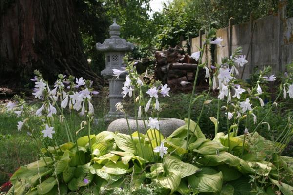 feng shui jardin fleurs blanches asiatique