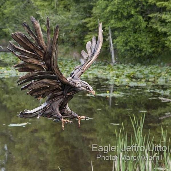 oiseau volant - superbe environnement