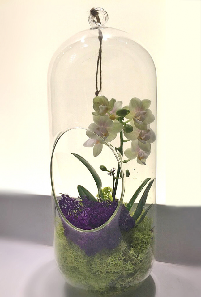 Jemné závěsné florárium s orchidejovým složením