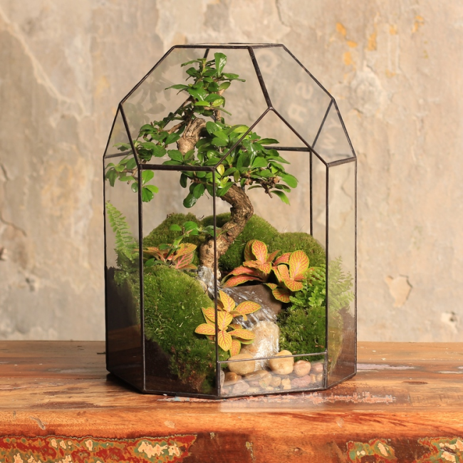 Velmi lakonická kombinace formy florariového kontejneru s vnitřním složením bonsai v improvizované horské oblasti