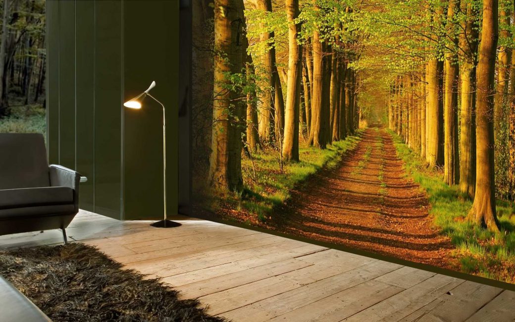 Fühle dich in der Natur