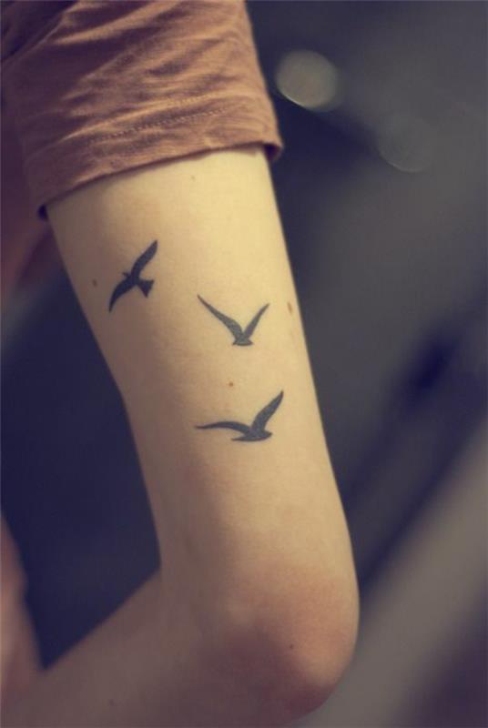 tatouage tatouages ​​bras 3 oiseaux