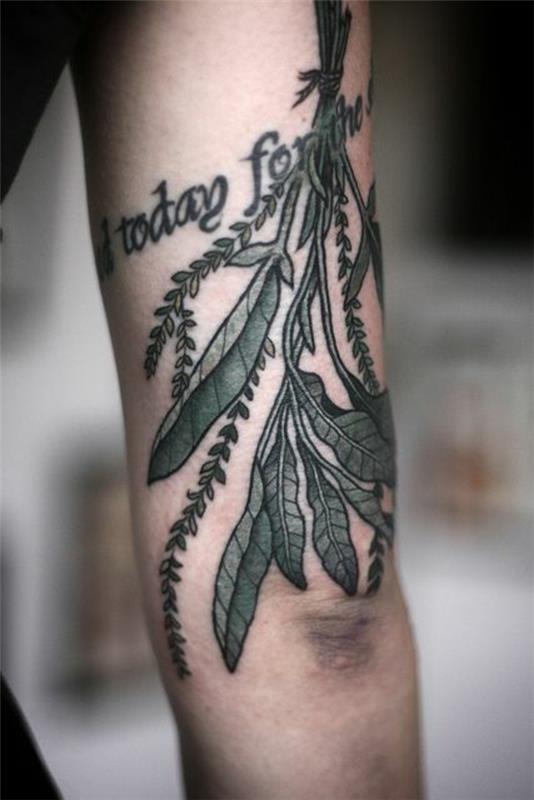 tatouage bras tatouages ​​dictons feuilles