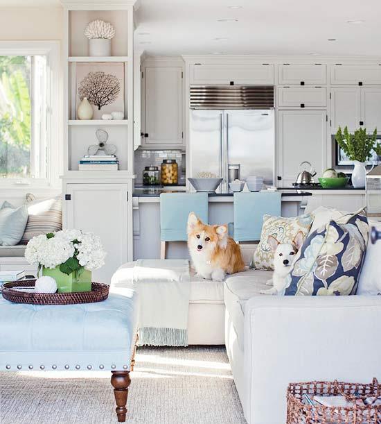 frais et chic avec une toile de fond de couleurs neutres bleues