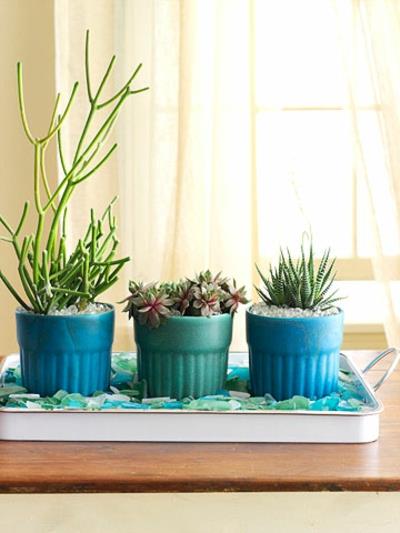 idées fraîches d'été pot de fleur couleur cactus exotique rebord de fenêtre