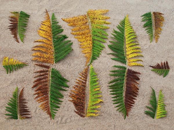 décoration de jardin accessoires de jardin bricoler feuilles d'été