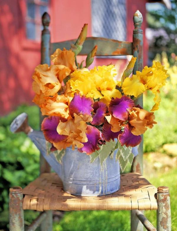 ogród drewniany wózek konewka kolorowe kwiaty