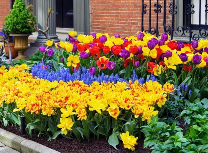 designerskie kolory ogrodowe łączą kolory dla miłej atmosfery