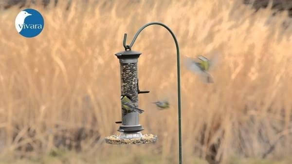 idées de jardin silo d'alimentation vivara