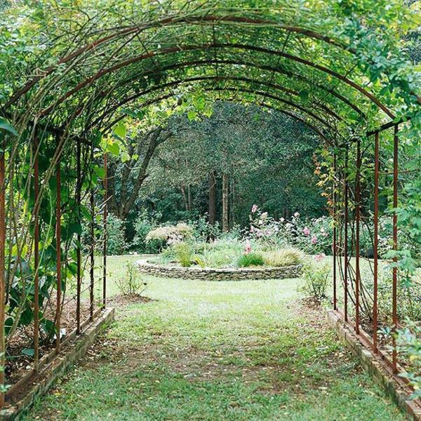 pergola de jardin en arche métallique plantes grimpantes