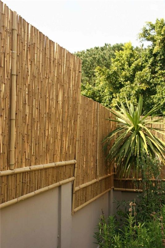 ekran prywatności w ogrodzie bambusowe pomysły na projektowanie ogrodu