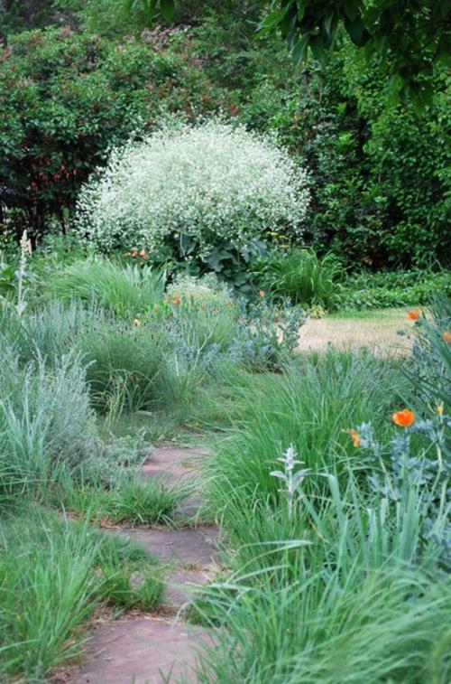 Jardinage et aménagement paysager plantation traditionnelle d'herbe à fleurs