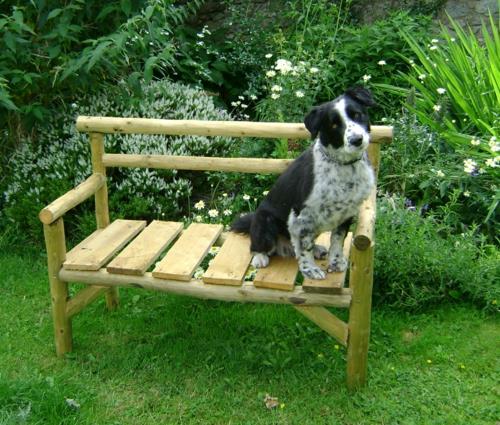 banc de jardin projet de bricolage printemps design bois métal chien