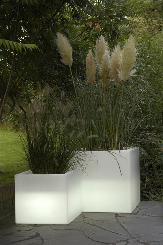 pomysły na oświetlenie ogrodu świecące pojemniki na rośliny rośliny ogrodowe