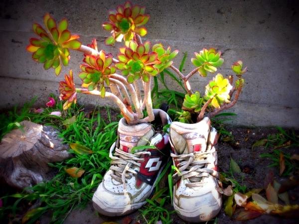 jardin design créer parterre de fleurs vieilles chaussures de sport