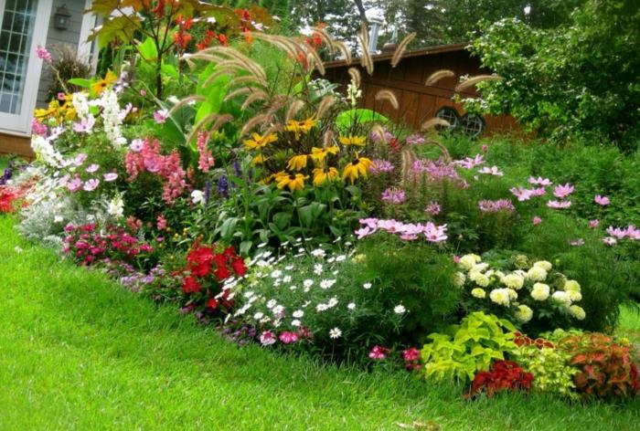 projekt ogrodu letnie kwiaty trawnik