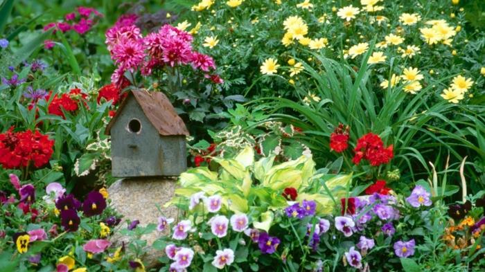 projektowanie ogrodu kolorowe pomysły na ogród kwiaty kwiaty