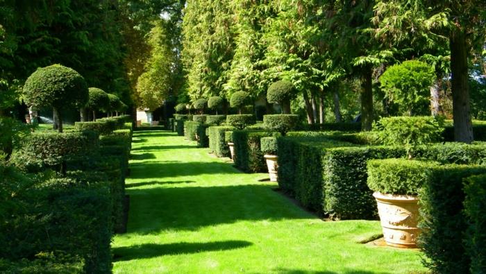 projekt ogrodu francuskie pomysły na bramę zielona trawa bukszpan