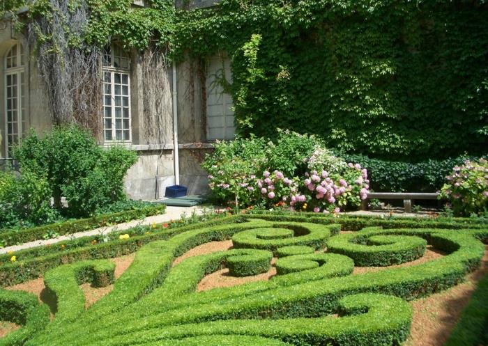 projekt ogrodu francuskie pomysły na ogród bukszpan róże bluszcz