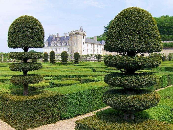 projektowanie ogrodu francuskie drzewa iglaste pomysły na ogród