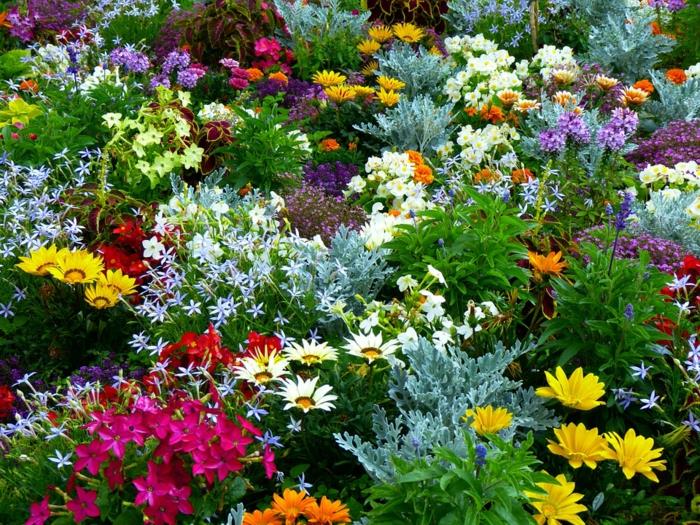 projektowanie ogrodu rośliny ogrodowe kwiaty pomysły na ogród