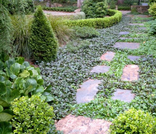aménagement paysager plantes de jardin günsel bleu chaussée en pierre rampante