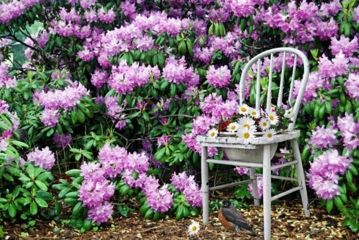 pomysły na projekt ogrodu niezwykłe pomysły na ogród ze starymi krzesłami