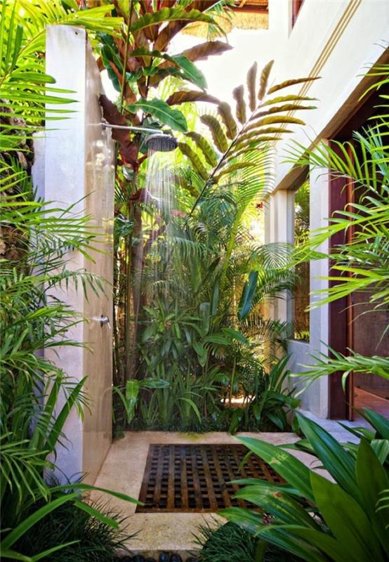 idées de conception de jardin douche plantes nature